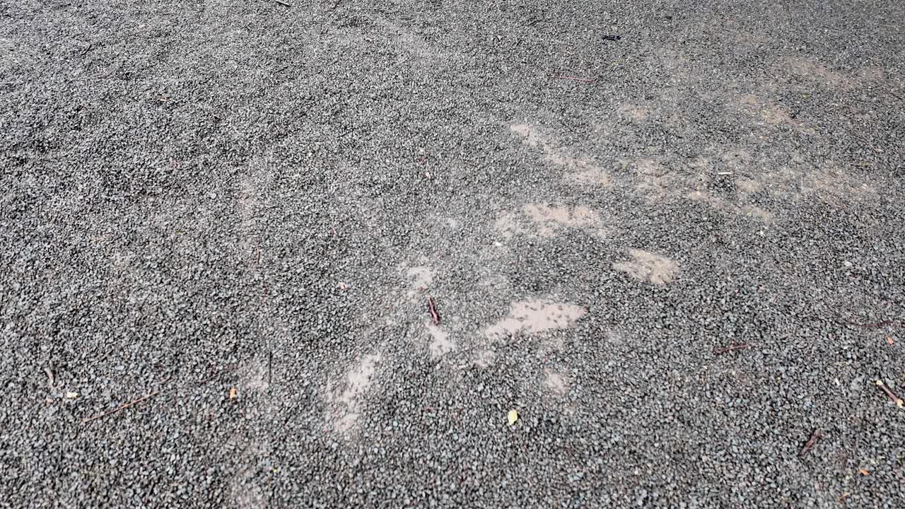 Wishing Well shave ice, a cute small food truck store selling organic and traditional shave ice, acai, smoothies, coffee and more, Hanalei, north shore Kauai, Kuhio Hwy Kauai Hawaii USA Tilt up shot