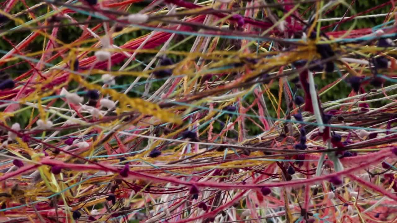 Abstract Intertwined Colorful Yarns and Threads