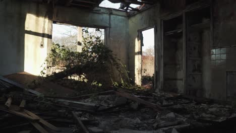 ruined interior of an abandoned house