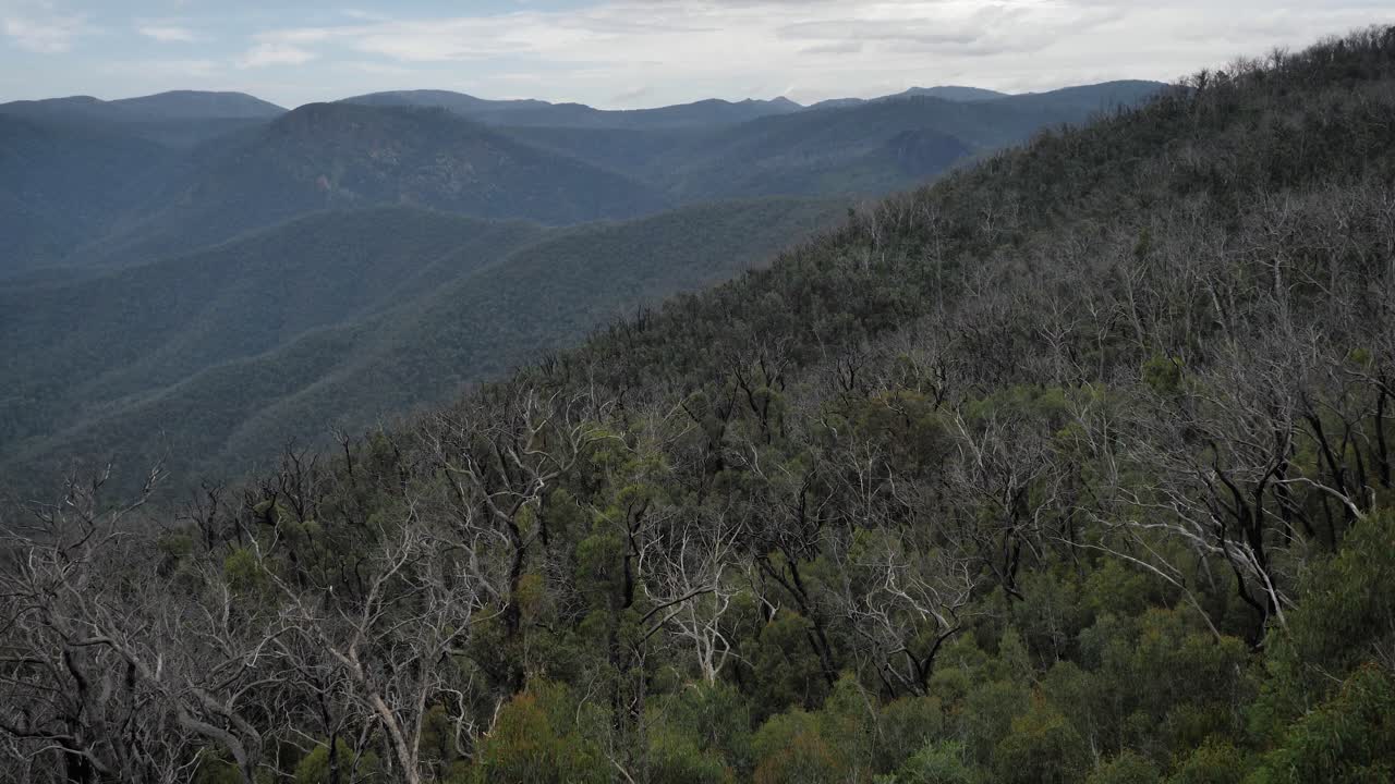 Medium view from Black Perry Lookout, Kosciuszko National Park, Talbingo, New South Wales, Australia