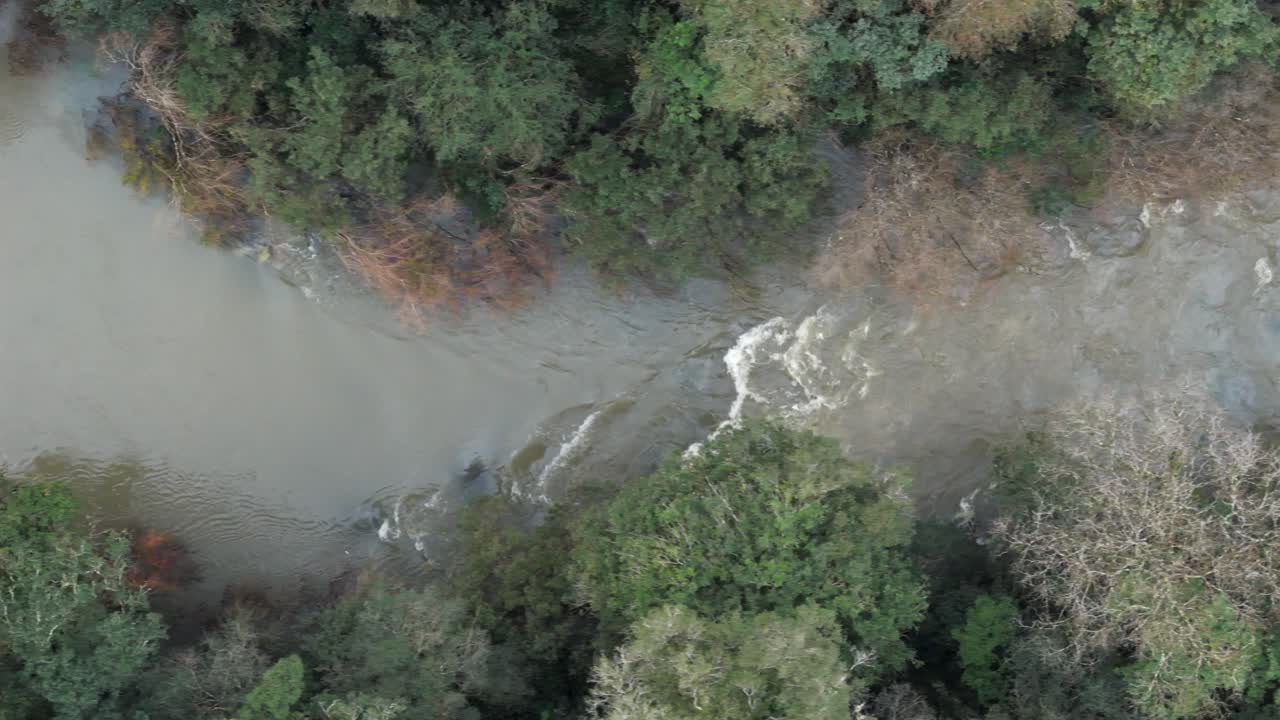 울창한 숲에 둘러싸인 강물, 푸른 나무 자루, 자연 위에서 아래로 보이는 모습