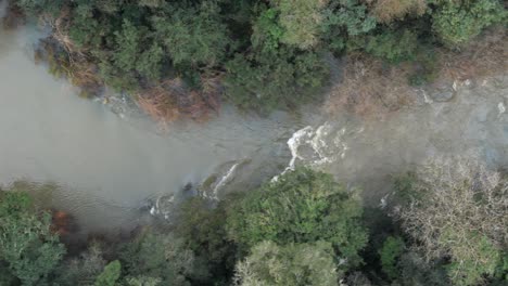 Agua-Del-Río-Rodeada-De-Un-Denso-Bosque-Con-Dosel-De-árboles-Verdes,-Vista-De-La-Naturaleza-Desde-Arriba