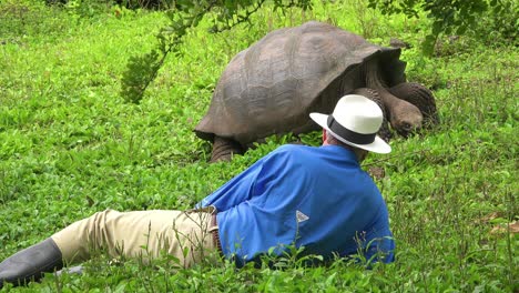 a tourist lies on the ground admiring a giant land tortoise in the galapagos islands ecuador