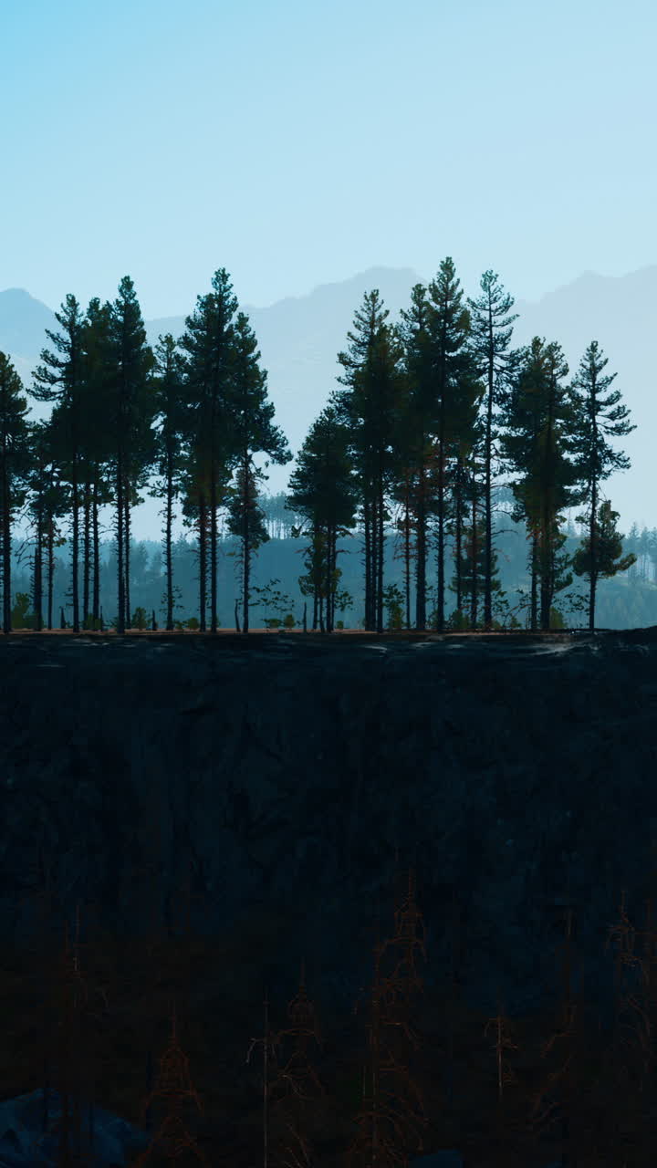 극적인 절벽을 배경으로 웅장한 숲의 실루