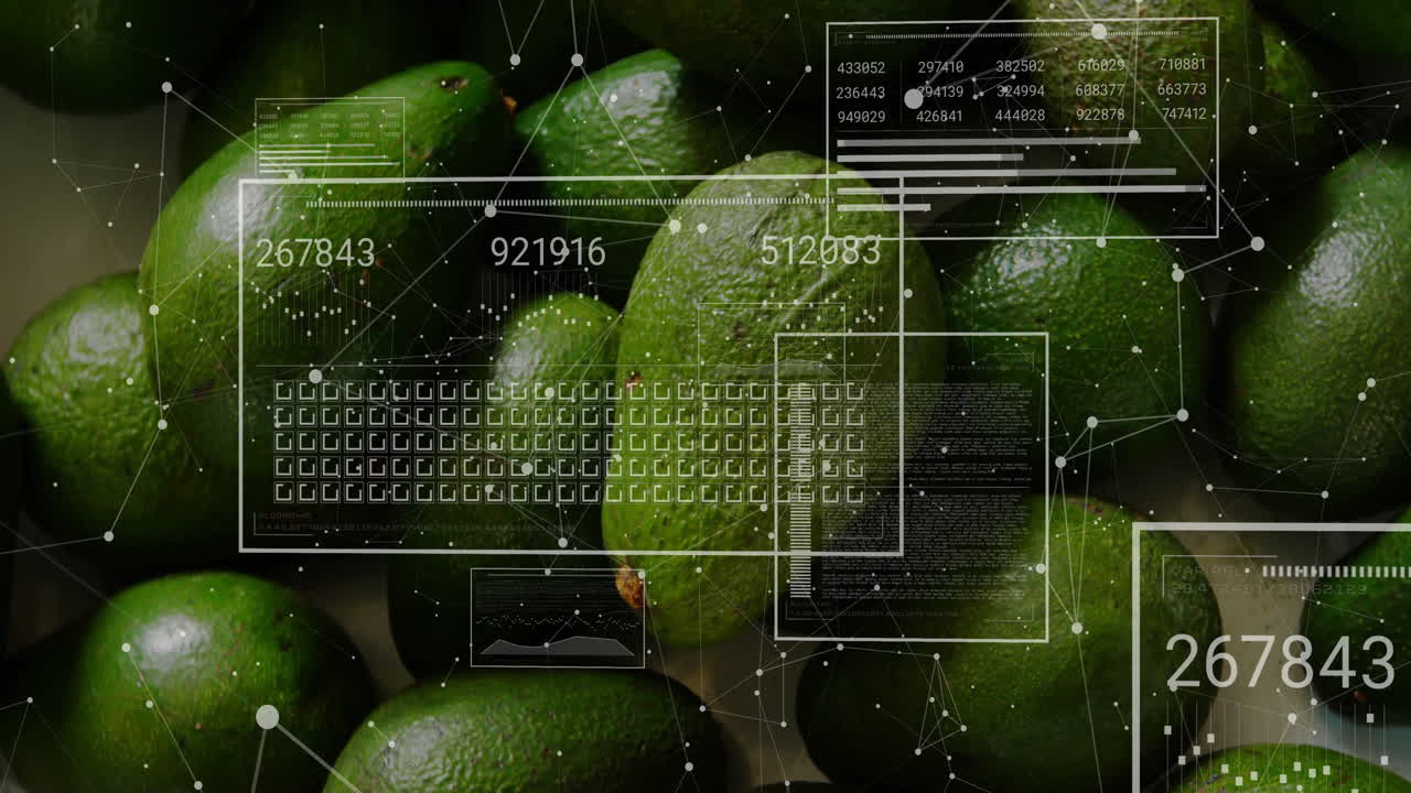 Digital data processing animation overlaying avocados in modern technology concept