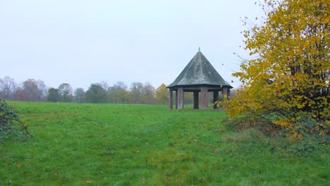 Pan-shot-of-dense-vegetation-in-Hyde-park-during-autumn-season-in-London,-United-Kingdom