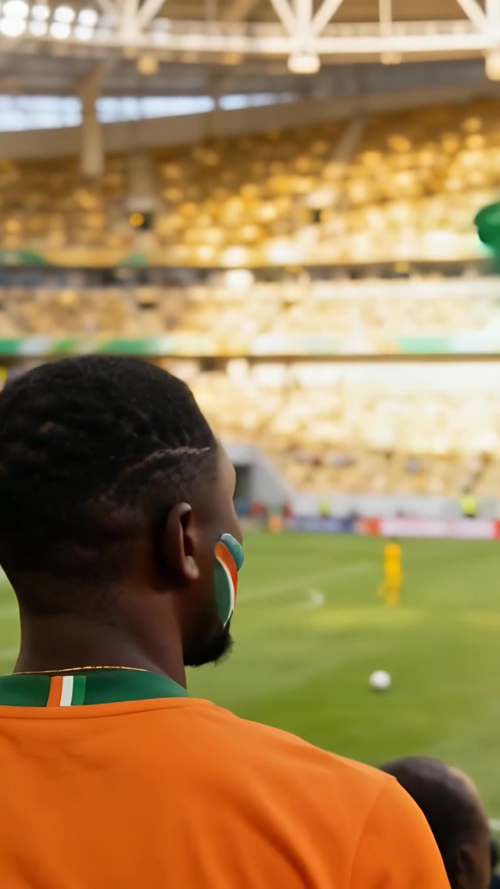 Video verticale: Bandiera verde che sventola, un tifoso con la divisa arancione che guarda la palla in campo con la pittura facciale