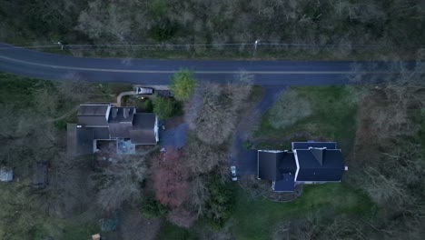 Aerial-truck-shot-top-down-of-houses-and-road-lined-with-trees