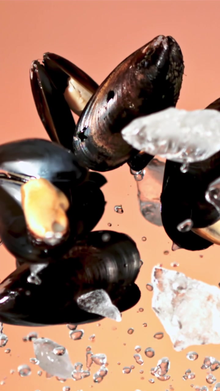 Fresh Mussels and Ice Cubes Floating in Slow Motion
