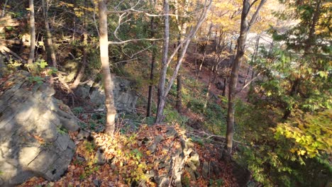 niagara glen aerial view flying through colourful autumn woodland gorge towards flowing river