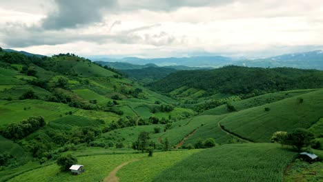 4K-Cinematic-nature-aerial-drone-footage-of-the-beautiful-mountains-and-rice-terraces-of-Ban-Pa-Pong-Piang-at-Doi-Ithanon-next-to-Chiang-Mai,-Thailand-on-a-cloudy-sunny-day