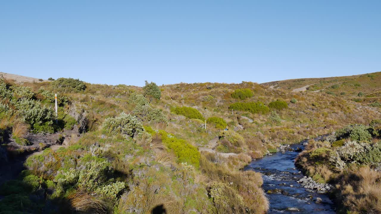 좁은 계류 옆에 관목이 늘어선 오솔길을 따라 걷는 여성 등산객