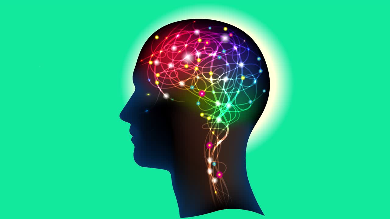 Neural connections in the brain