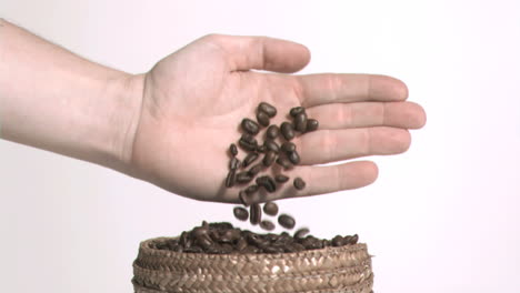 coffee seeds in slow motion