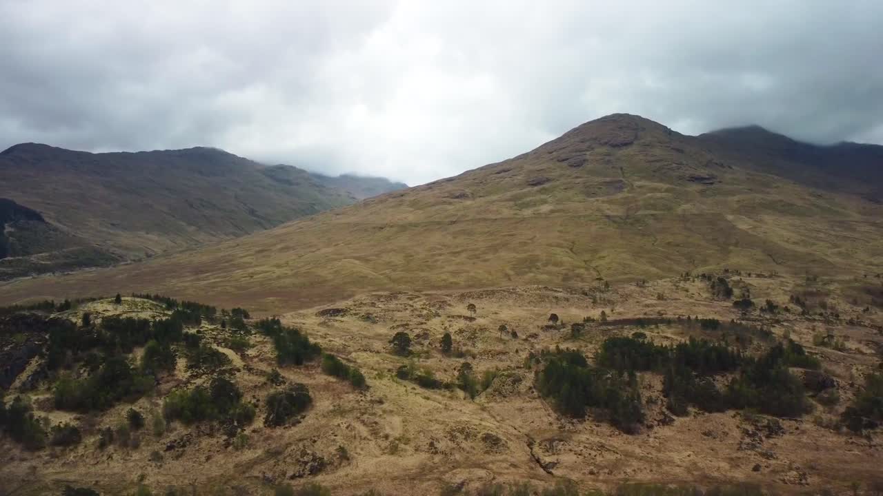 Aerial drone footage of gorgeous large Scottish highland hills and mountains that are covered in brown and yellow grassy fields and dark colored trees during a cloudy day, white fluffy clouds, misty.