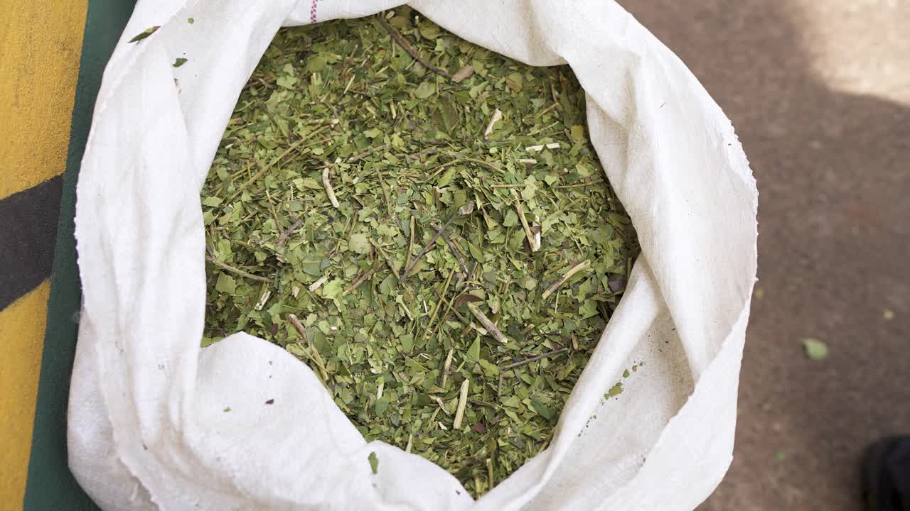 Sacks filled with yerba mate arranged for bulk storage and transport—green dried leaves packed tightly in open white bags, focused on agricultural logistics, viewed from above, top-down spin shot