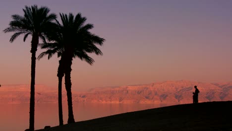 Palmeras-Y-Un-Padre-E-Hijo-En-Silueta-A-Lo-Largo-De-La-Costa-Del-Mar-Muerto-En-Israel-Al-Atardecer