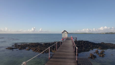 Flying-back-from-the-wooden-in-ocean