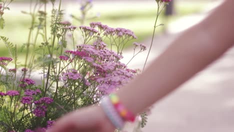 la mano de una niña toca flores lilas