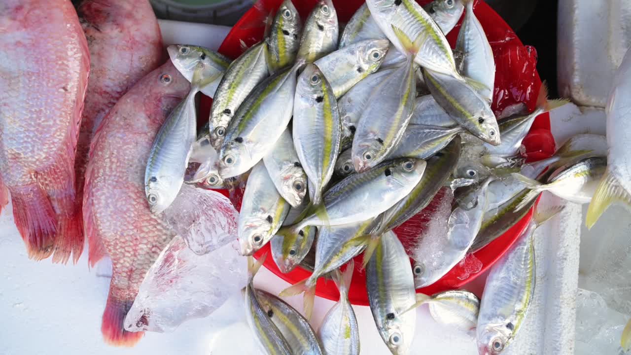 Colorful Market Fish Collection. Brightly Colored Fish Piled On Ice At Vibrant Street Market Stall. Energetic Market Scene Showcasing Fresh Yellow And Red Fish In Bustling Vietnamese Marketplace