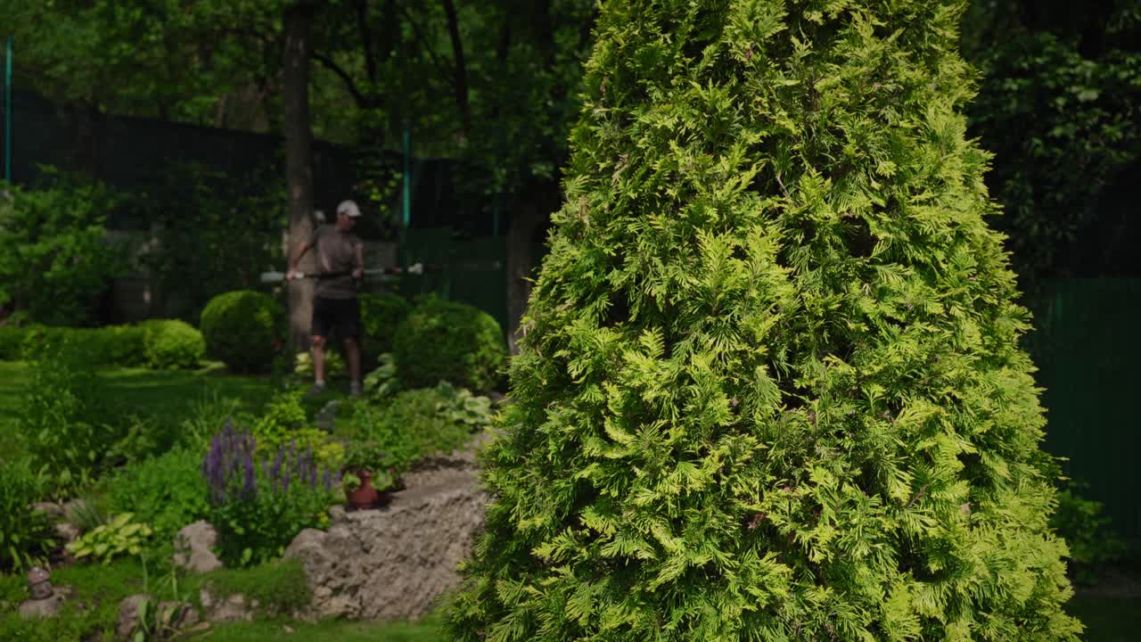 Uomo al lavoro in un bellissimo giardino verde con una tuia in primo piano