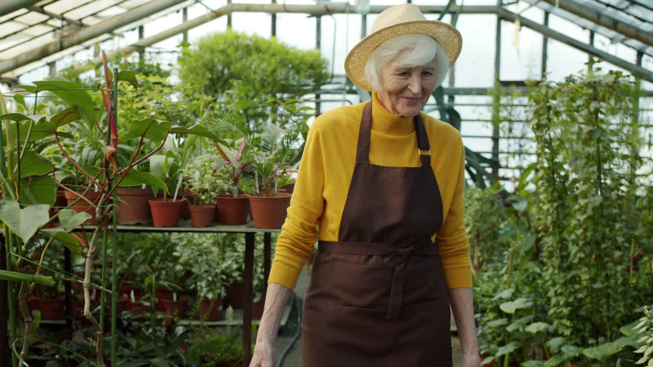 Senior Gardener in Greenhouse
