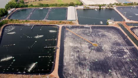 aerial view of shrimp farmland countryside