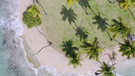 aéreo de arriba hacia abajo sobre playa exótica playa esmeralda, república dominicana