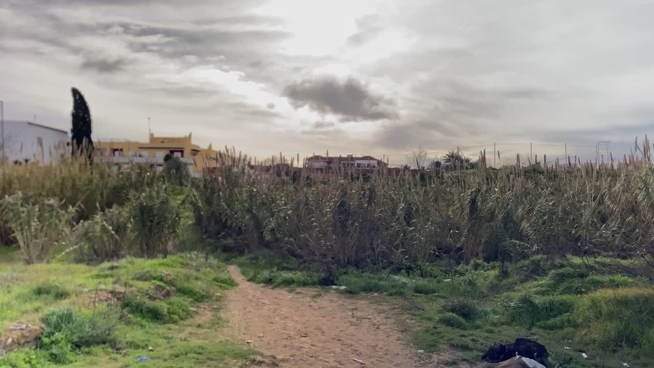 Sentiero sterrato che si snoda attraverso alte canne verdi ed erba selvatica, con edifici tradizionali sullo sfondo sotto un cielo nuvoloso