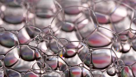 macro shot of colorful shiny bubbles and rainbow colors