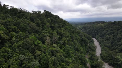 Drone-Volando-A-Lo-Largo-Del-Lado-De-Una-Montaña-Cubierta-Por-Una-Espesa-Selva-Tropical-En-América-Central