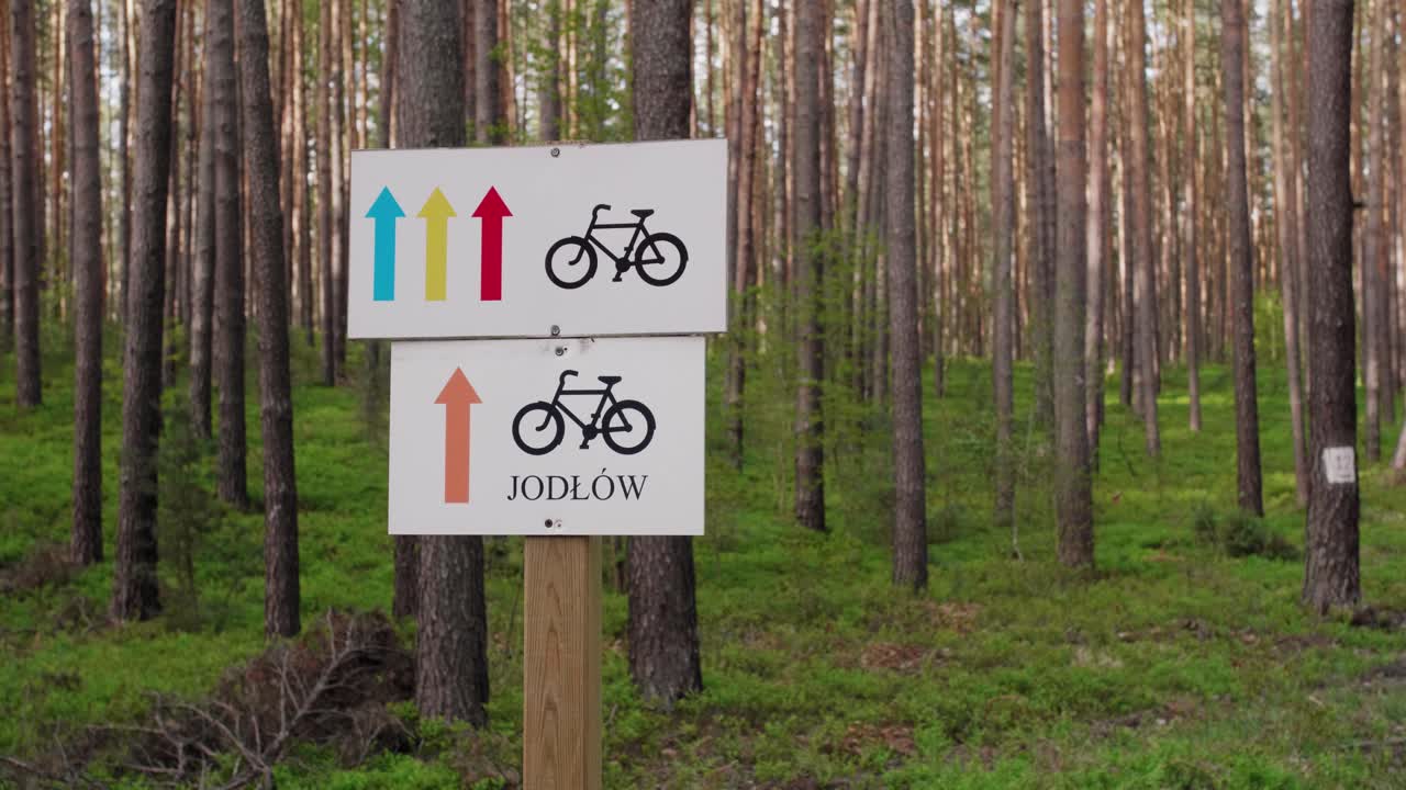 폴란드 녹색 숲