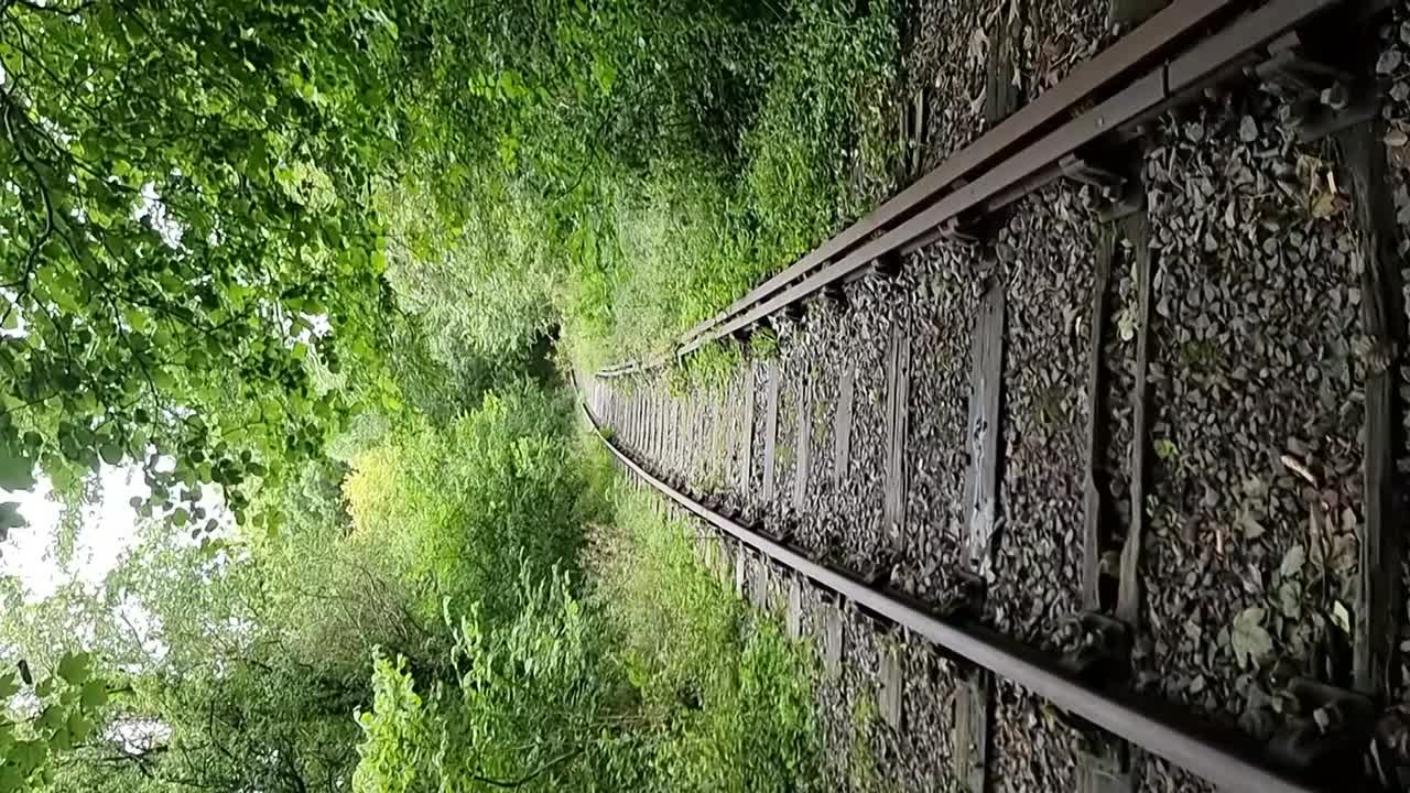 VERTICAL Disused abandoned rusty railroad track in dense woodland foliage