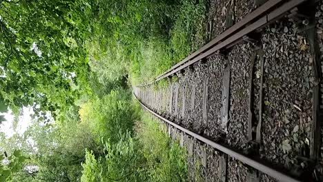 vertical disused abandoned rusty railroad track in dense woodland foliage