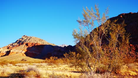 windy morning in the southwest desert