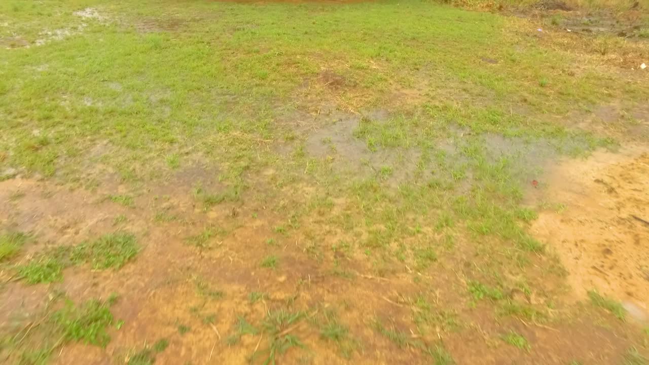 cabaña indígena pemon en mayupa, canaima, venezuela, durante un día lluvioso
