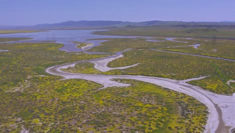 vista aérea de pájaro de la llanura de carrizo en california durante la superflor