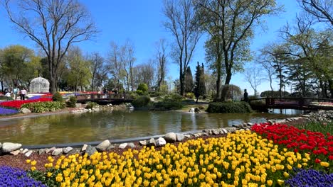 istanbul tulip festival.