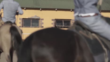 cowboys and cowgirls at the ranch