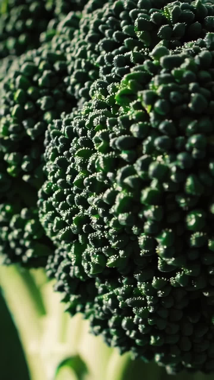 Broccoli Close-up