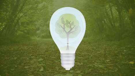 Animation-of-lightbulb-over-forest