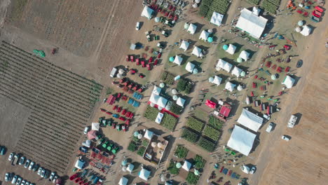 Drone-Shot-with-Descending-and-Turning-Top-View-of-Agricultural-Expo-Fair-on-Yellow-Fields-of-Farm-Lands