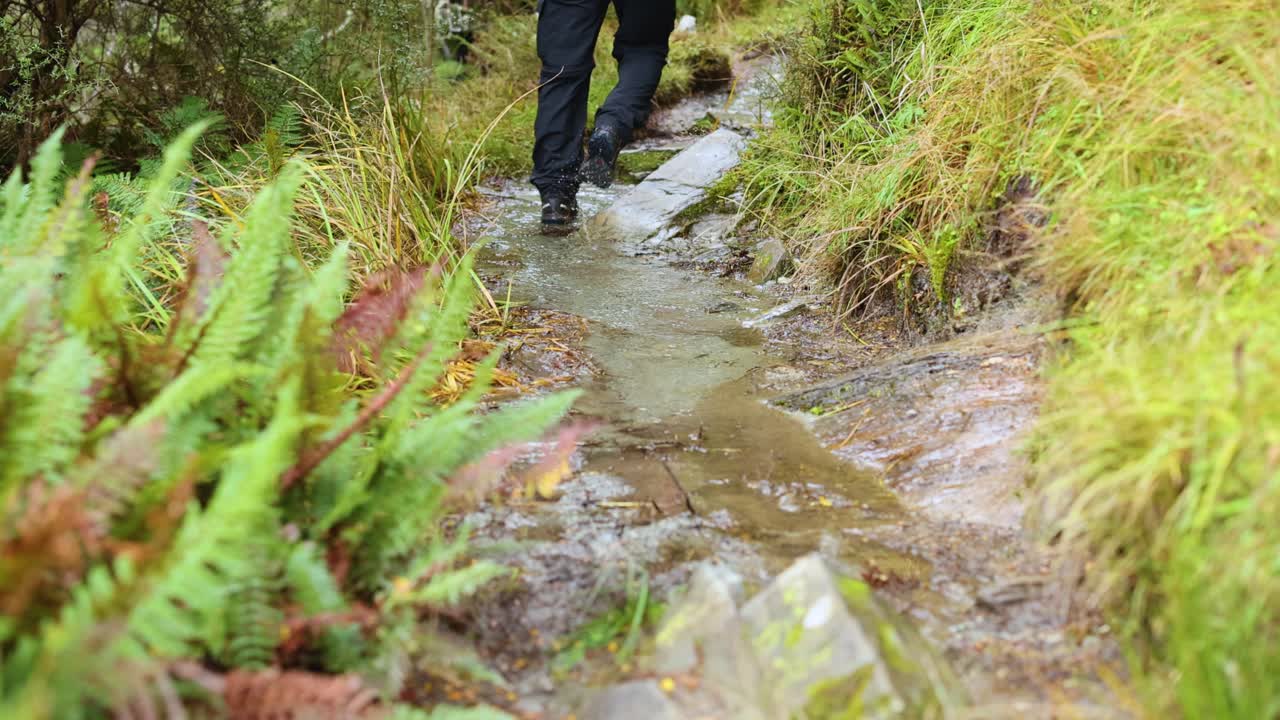 A person walks along a wet, scenic trail surrounded by vibrant greenery in Queenstown, New Zealand. Natural lighting enhances the serene atmosphere