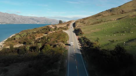 Dron-Aéreo-En-Cámara-Lenta-Siguiendo-Una-Autocaravana-Con-Vistas-Al-Magnífico-Lago-Azul-Hawea,-Campo-De-Ovejas-Y-Montañas-A-última-Hora-De-La-Tarde-En-Nueva-Zelanda