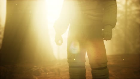 lonely astronaut in dark forest