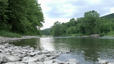 shallow river with rocky shore on tropical forest