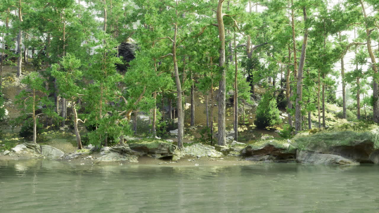 Lush forest with tall trees along a tranquil water edge in bright daylight