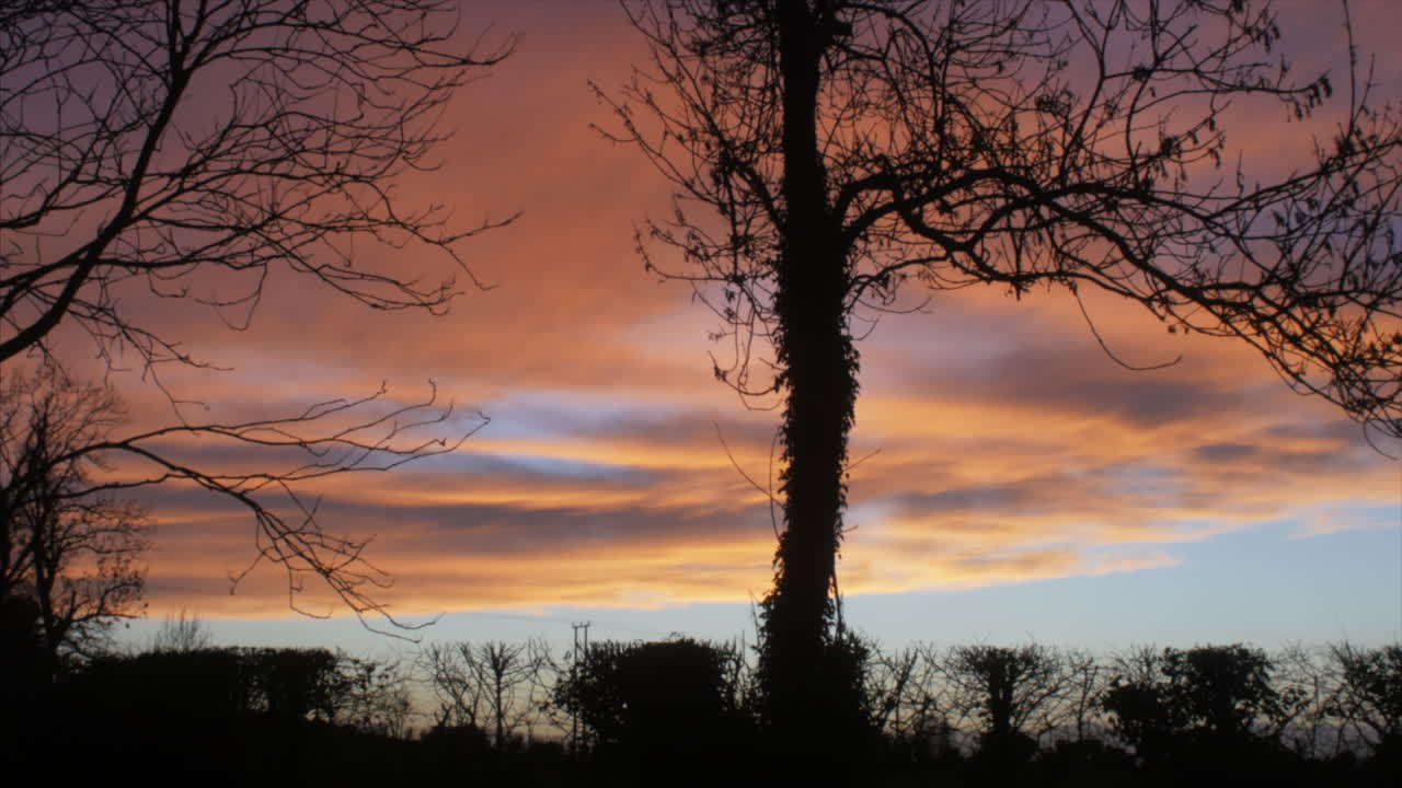 Beautiful colorful clouds moving slowly, with a gentle wind blowing through the trees at sunset. ZOOM OUT