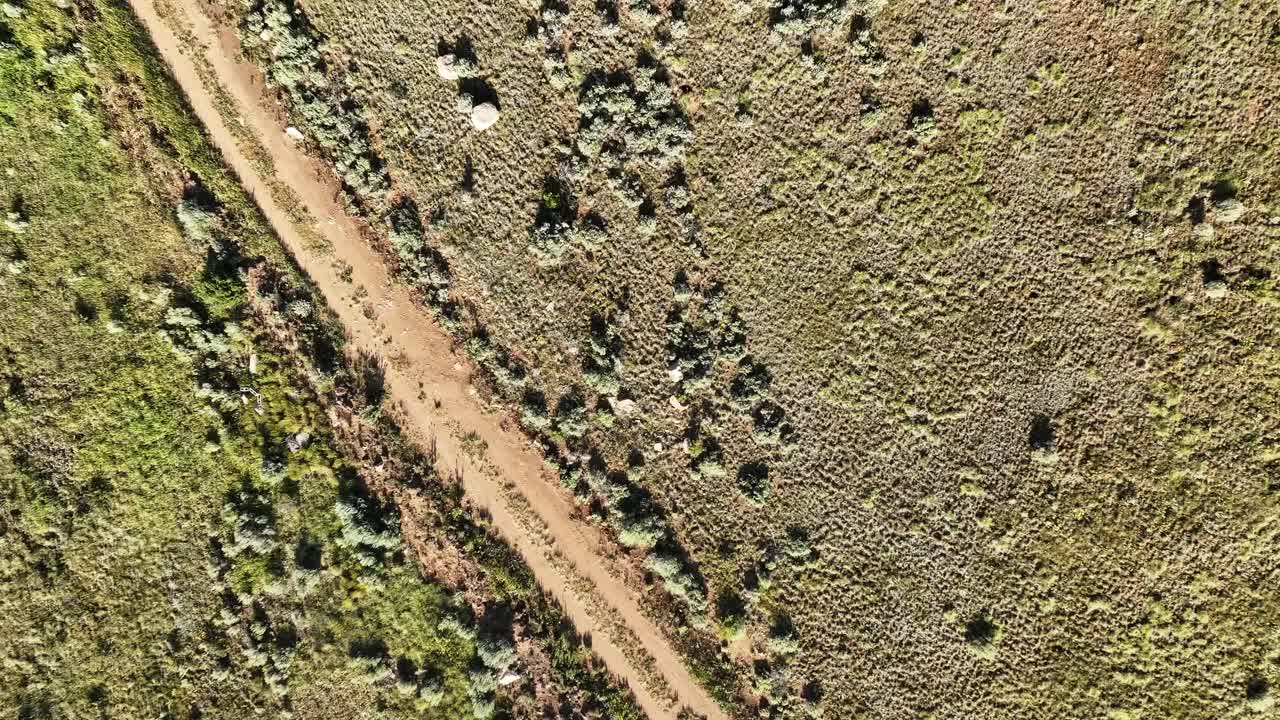 Drone shot of a dual track dirt road in the Colorado Mountains