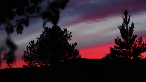 Silhouette-Bäume-Gegen-Dramatischen-Himmel-Während-Des-Sonnenuntergangs---Schwenk